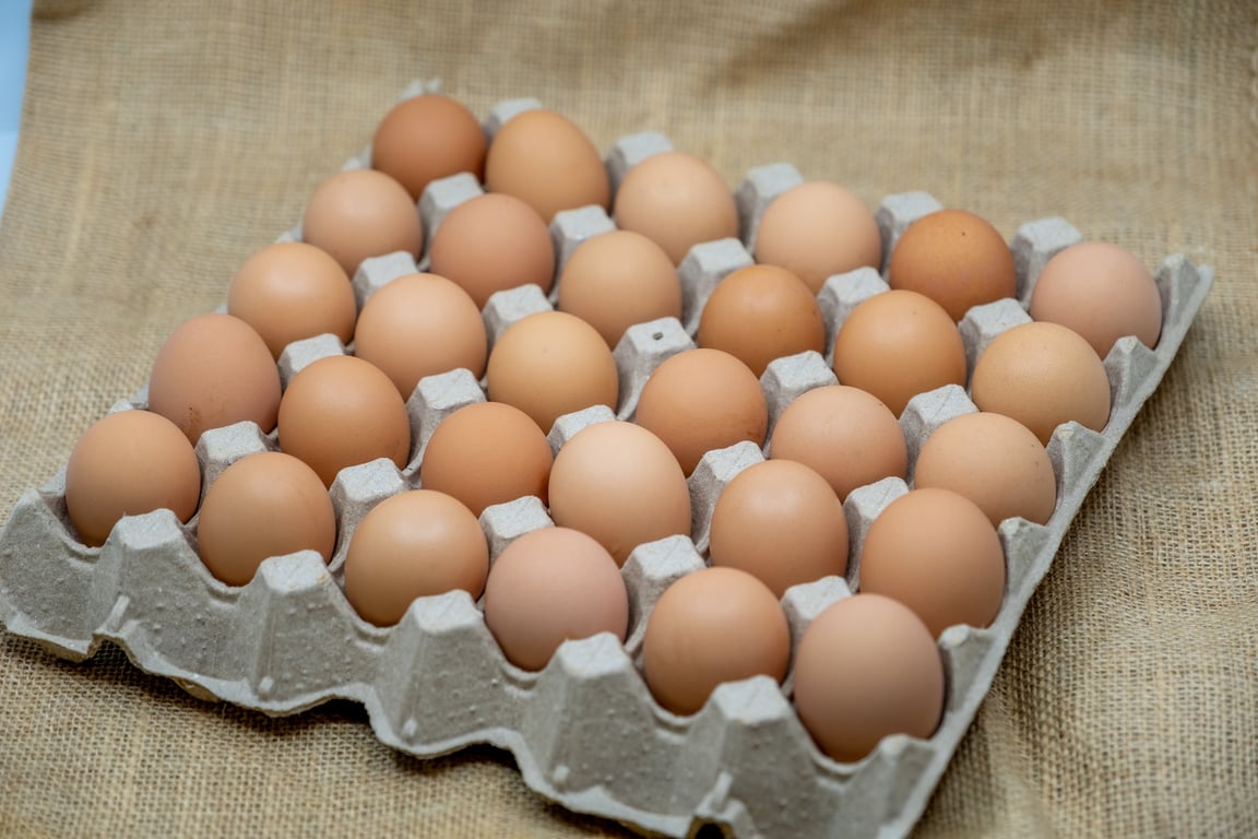 Majura Valley Free Range Eggs in Majura, ACT