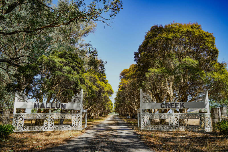 Mallum Creek Farm Stay in Moorngag, VIC