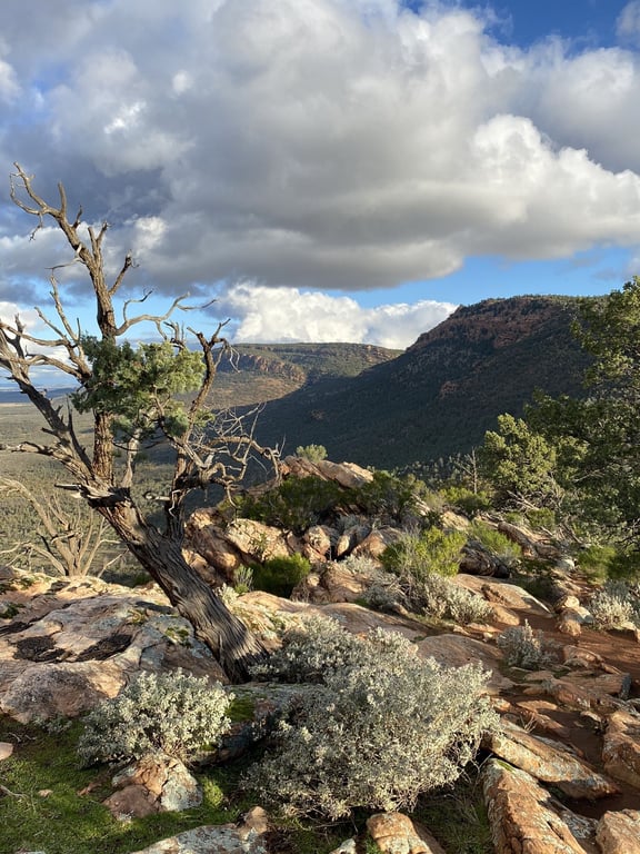 Merna Mora in Flinders Ranges, SA