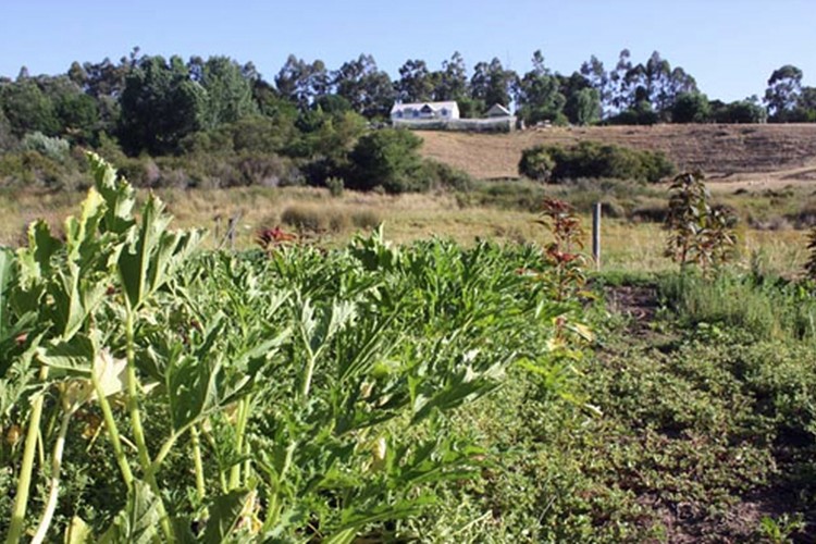 Merri Bee Organic Farm in Nannup, WA