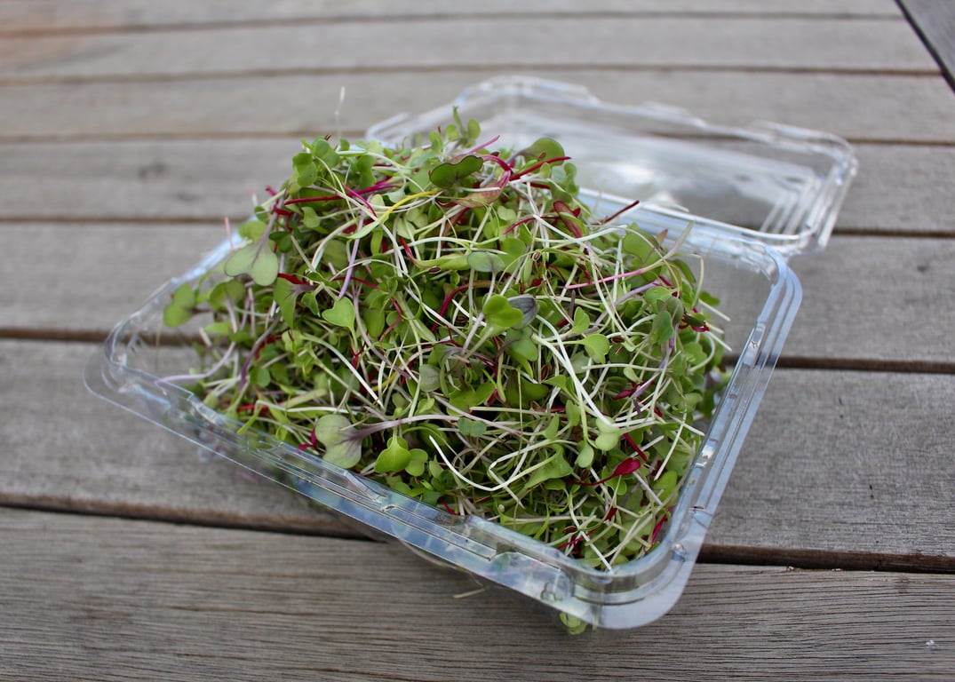 Microsprout in Eaglehawk, VIC