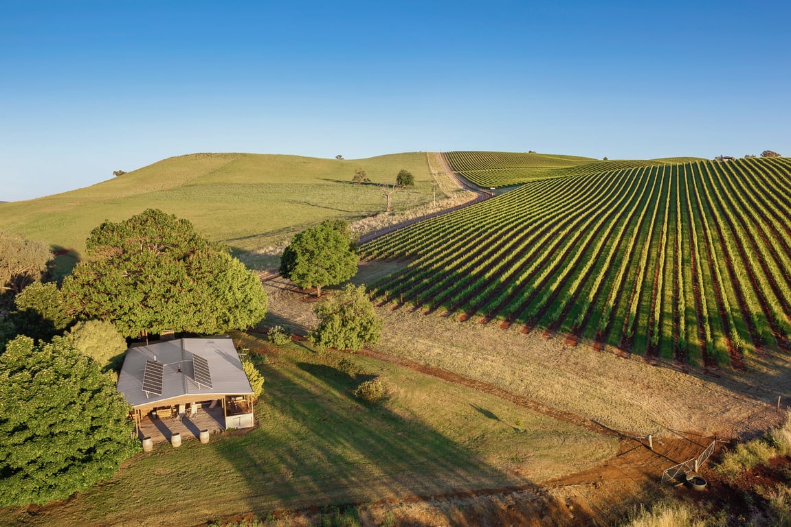 Mt Bellevue in Myrrhee, VIC