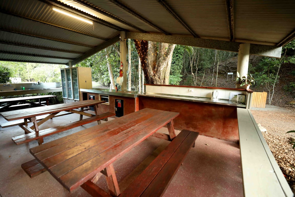 Mt Warning Rainforest Park in Murwillumbah, NSW