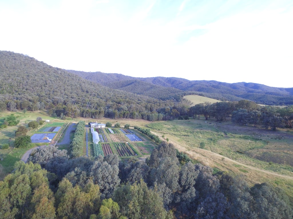 Murmungee Basin Produce in MURMUNGEE, VIC