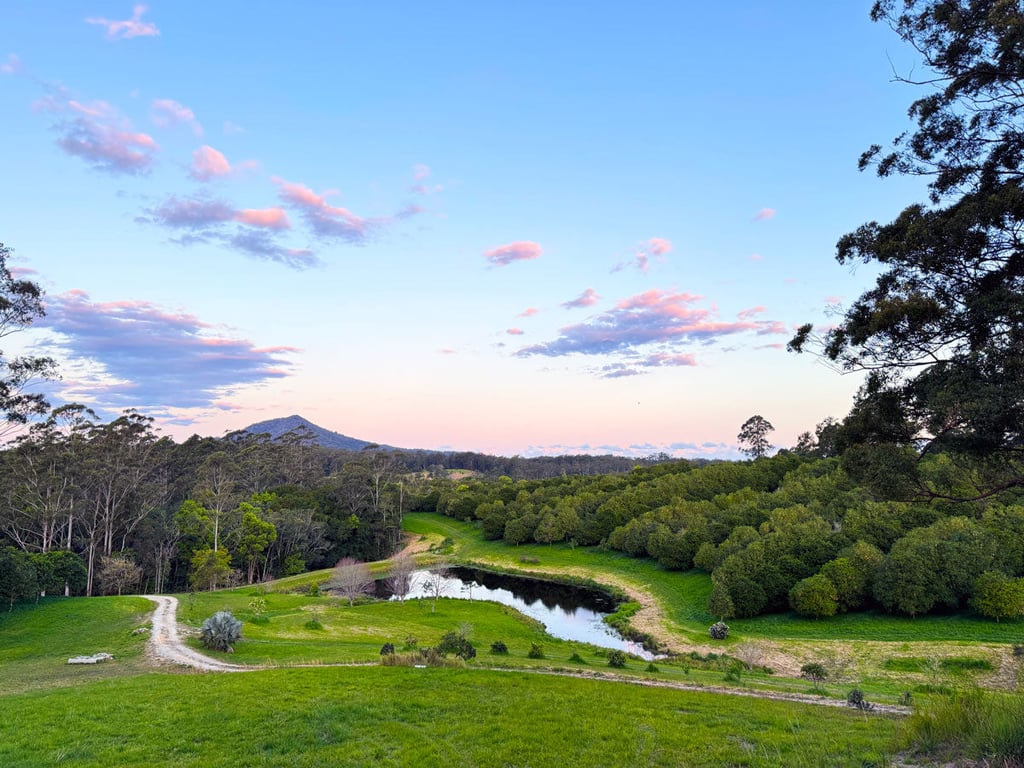 Nambucca Macnuts in Macksville, NSW