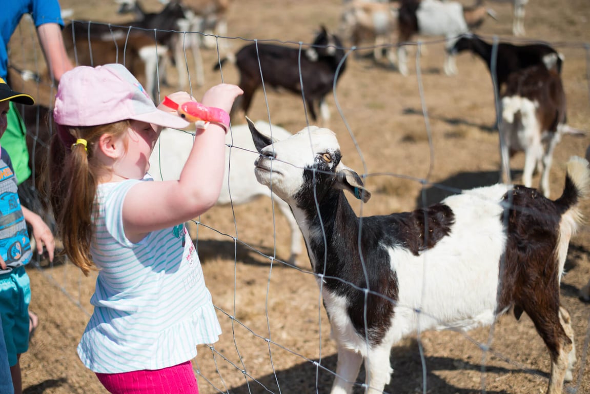 Naughty Little Kids in Peak Crossing, QLD