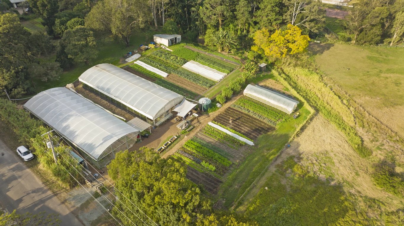 Neighbourhood Farm in Corinda, QLD