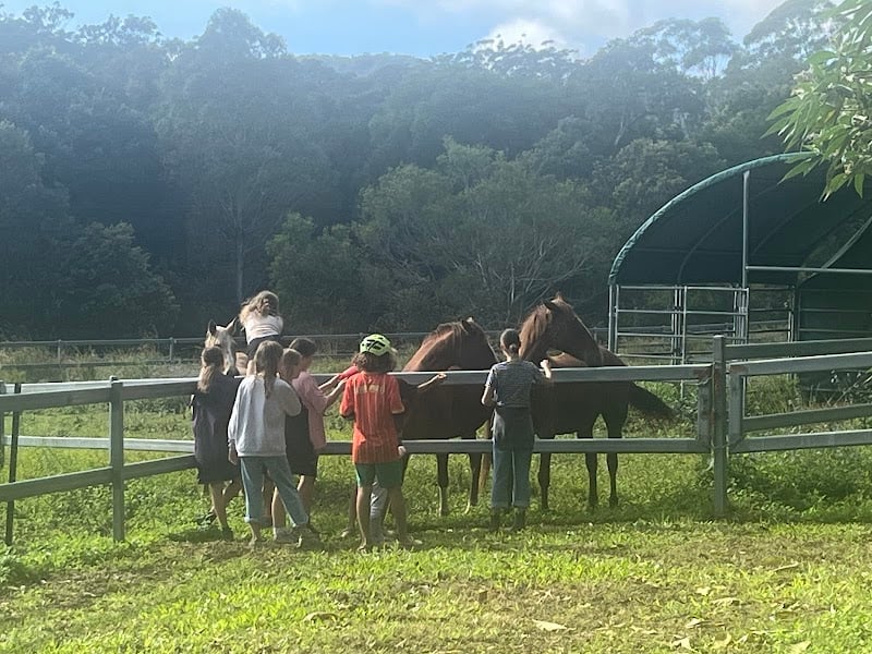 Noosa Equestrian and Camping Centre in Tandur, QLD