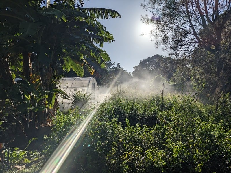 Northey Street City Farm in Windsor, QLD