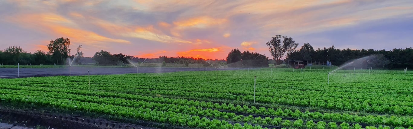 Peninsula Fresh Organics in Mornington Peninsula, VIC