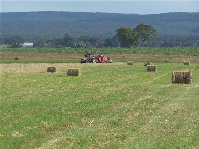 Rosetta Downs in 483 Rosedale-Longford Rd, VIC
