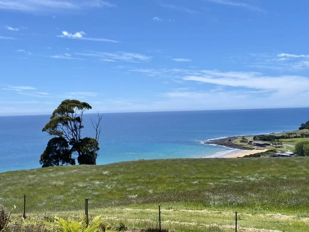 Seaside Farm in Penguin, TAS