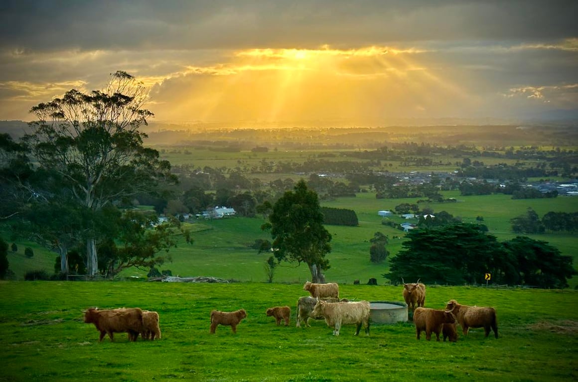 Serenity Farm in Yarragon, VIC