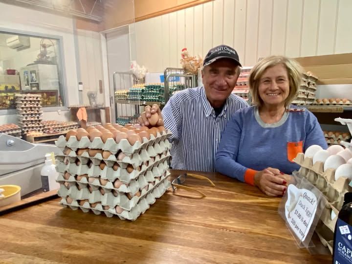 Somerville Egg Farm in Moorooduc, VIC