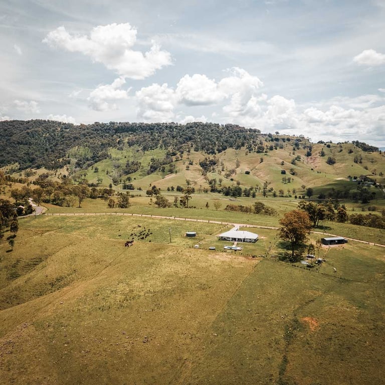 Springhill Beef Co in Mount Rivers, NSW