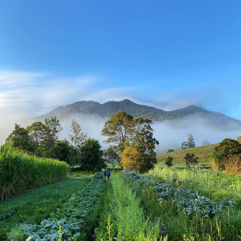 Sylva Lining Organics in Eungella, NSW