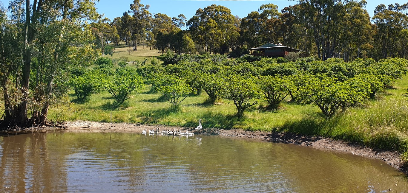 Taralee Orchards in Wirrabara, SA