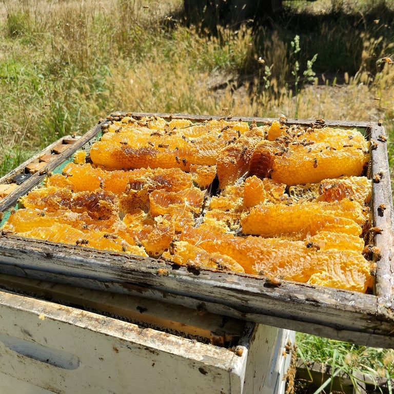 Tasmanian Honey Company in Perth, TAS
