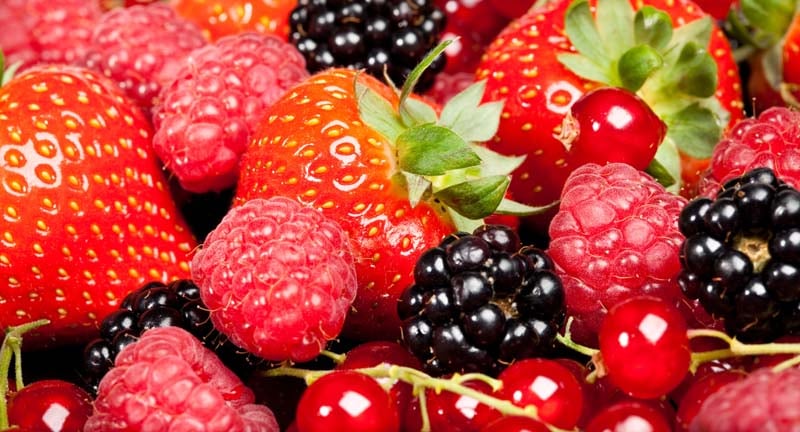 The Bramble Farm in Langwarrin, VIC