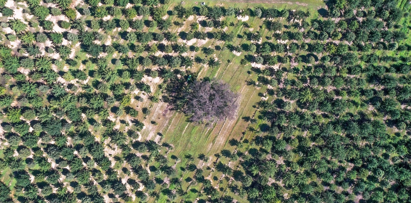 The Truffle Farm Canberra in Majura, ACT