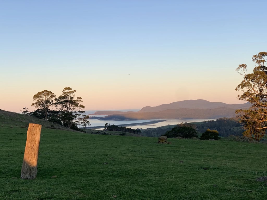 Tongola Cheese in Copping, TAS