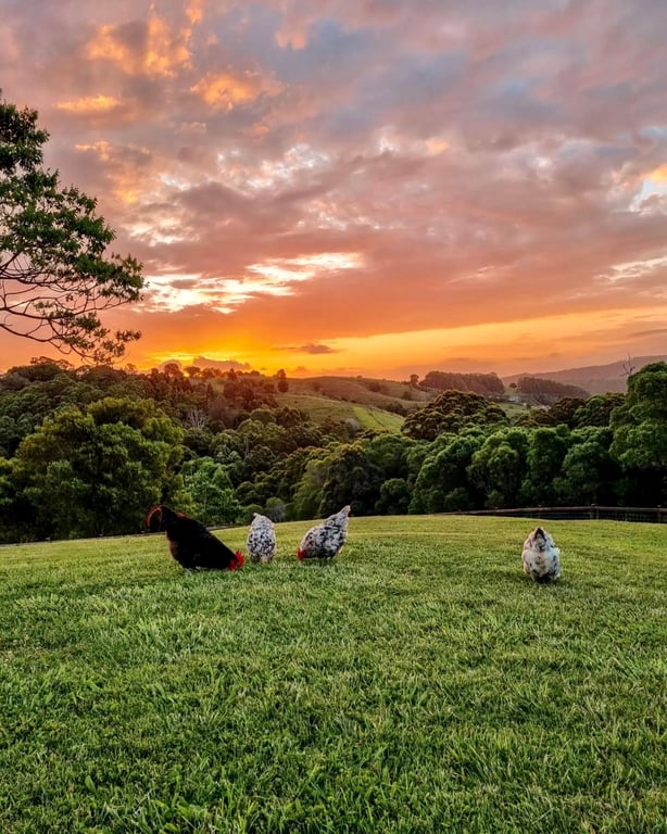 Tranquil Valley Noosa in Black Mountain, QLD