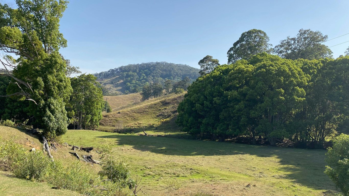 Up The Creek in Crabbes Creek, NSW