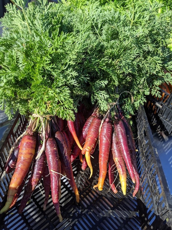 Volcano Produce in Illowa, VIC