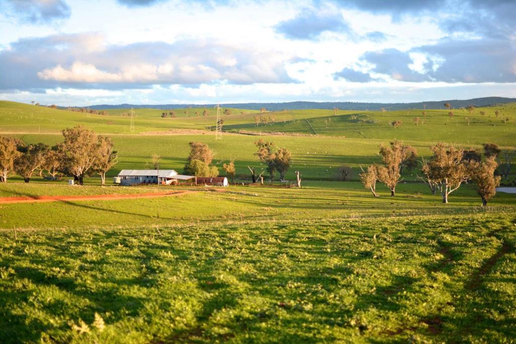 Wantana Cottage Farmstay in Boorowa, NSW