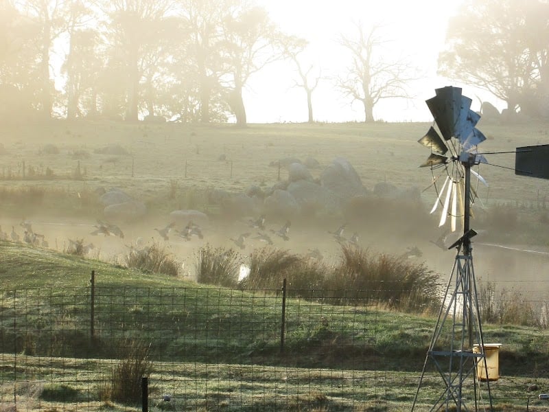 Warreen Farmstay in Countegany, NSW