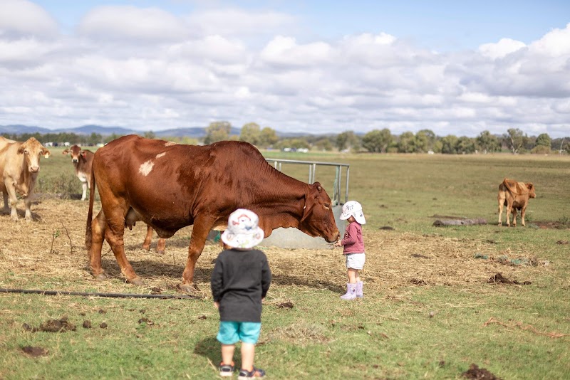 Warrego Farm Stay in Junabee, QLD