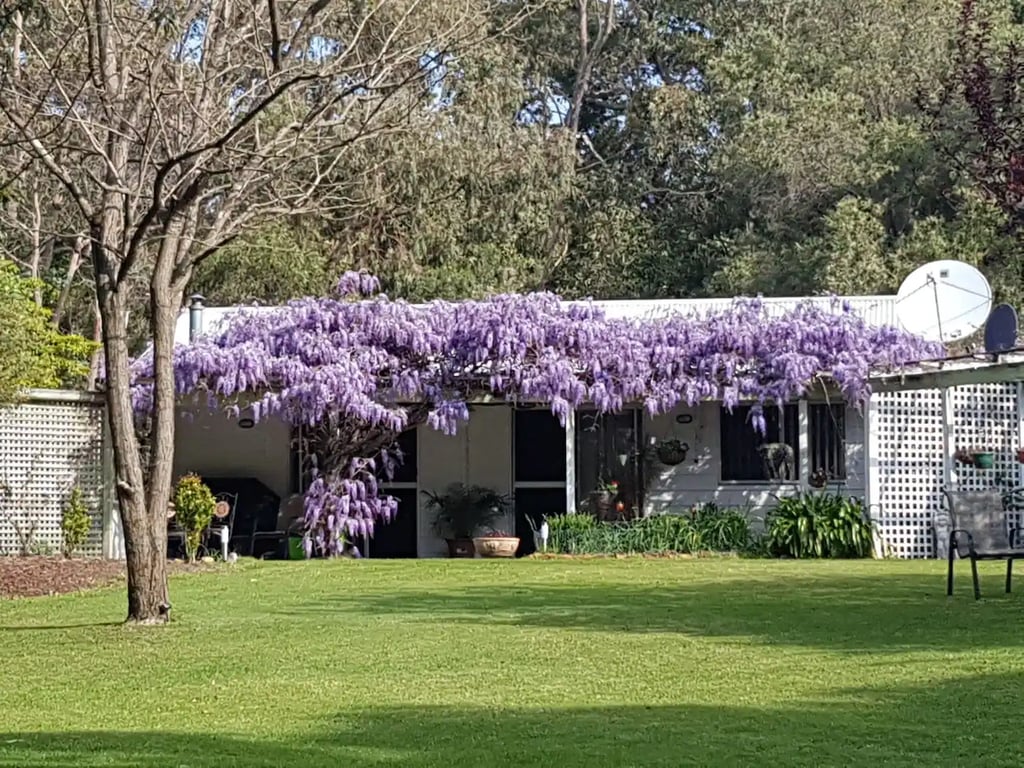 Wisteria Cottage Augusta in Deepdene, WA