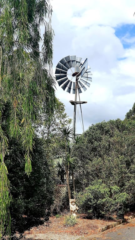 Woongooroo Estate Winery in Sunshine Coast, QLD