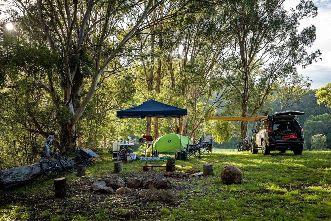 Wynola Country Cousins in Killarney, QLD