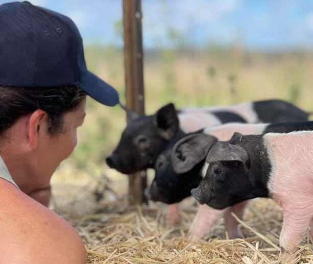 Yanjala Farm in Murgon, QLD
