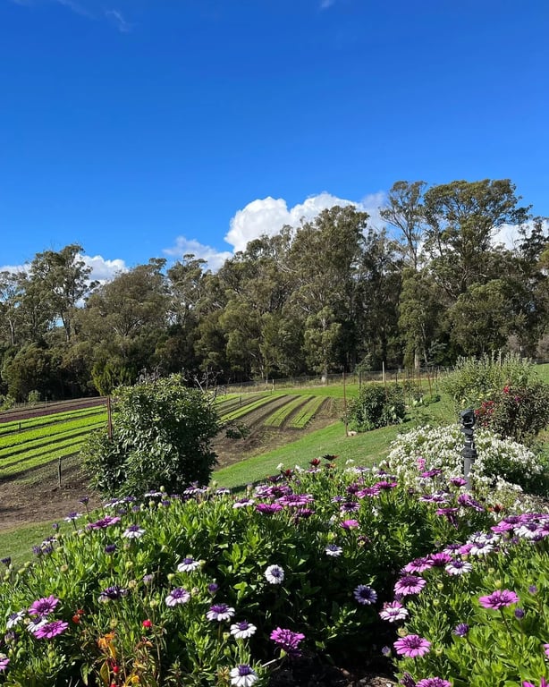 York Town Organics in York Town, TAS