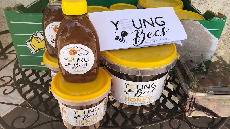 Young Bees in Boorowa, NSW