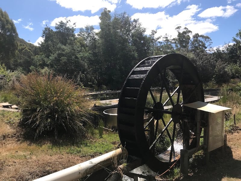 41 South Tasmania and Georgie's Cafe in Deloraine / Red Hills, TAS