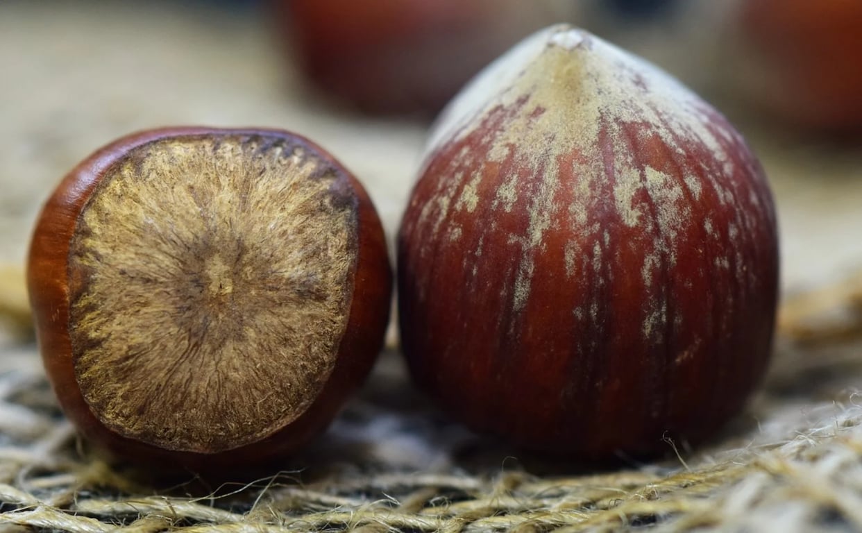 Alpine Nuts in Myrtleford, VIC