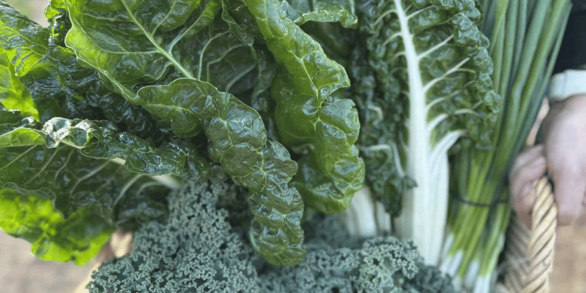 D & A Farm Fresh in Mornington Peninsula, VIC