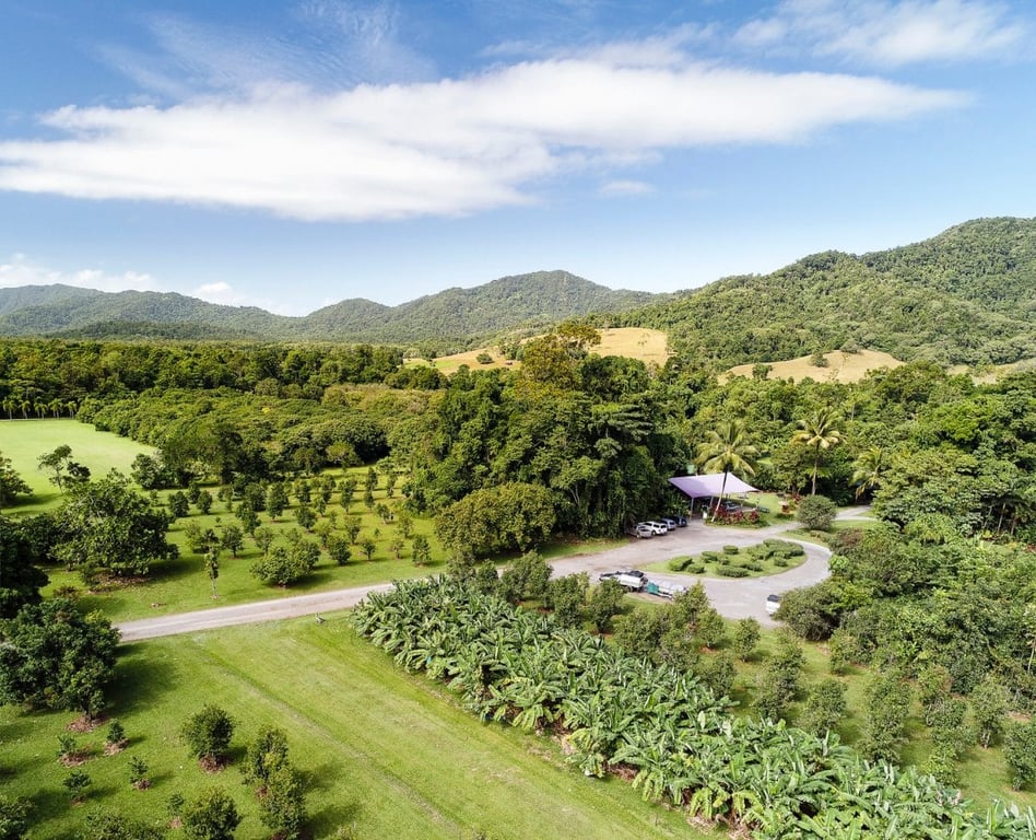 Daintree Ice Cream Company in Daintree, QLD