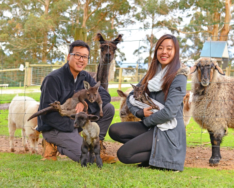 Denmark Animal Farm & Pentland Alpaca Stud in Denmark, WA