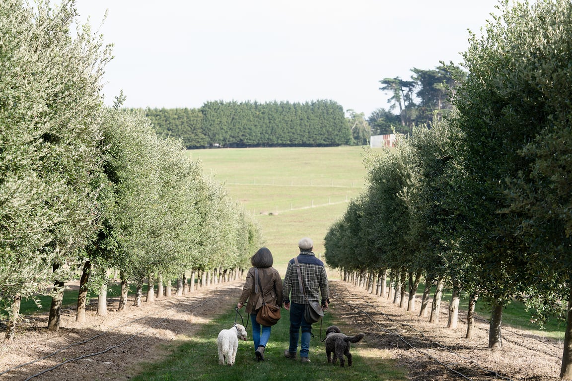 Flinders Truffles in Mornington Peninsula, VIC