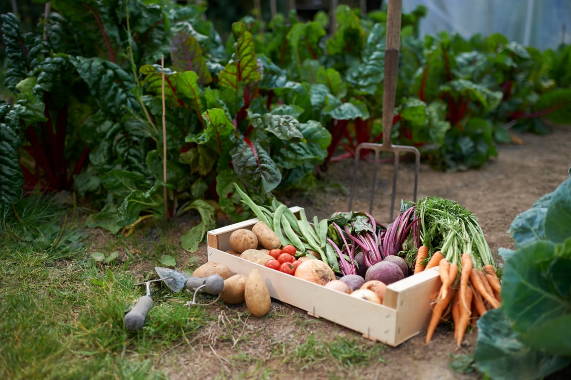 Good Growers in Hunter Valley, NSW