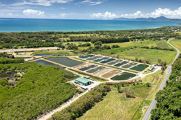 Hook-A-Barra in Daintree, QLD