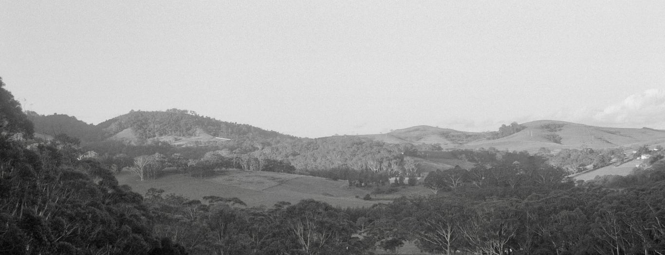 Rolling hills and dense bushland in a black and white landscape, typical of rural NSW near Largo Brae.