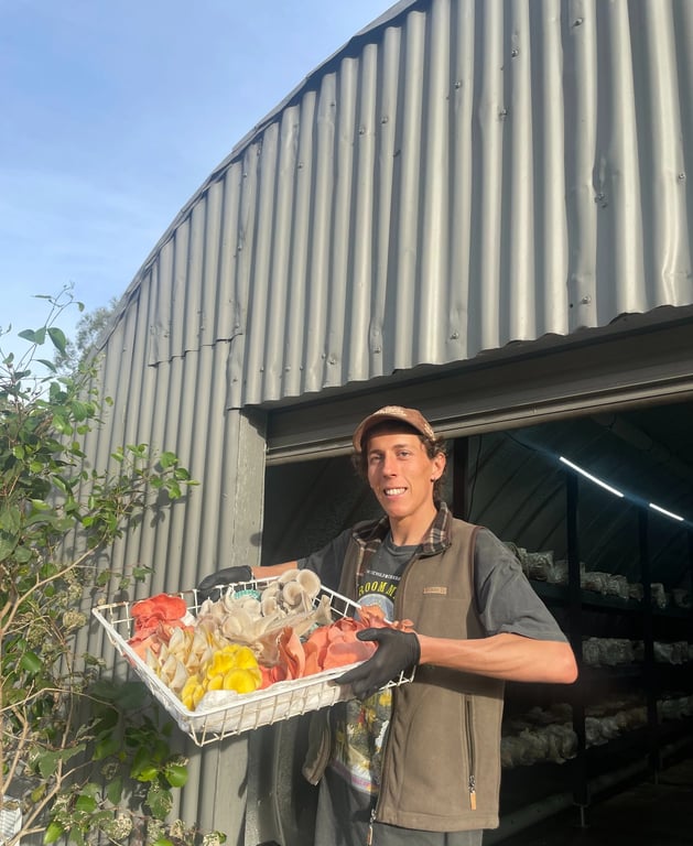 A man smiling, holding a basket of colourful oyster mushrooms (pink, yellow, grey) in front of a farm shed at Largo Brae in NSW.