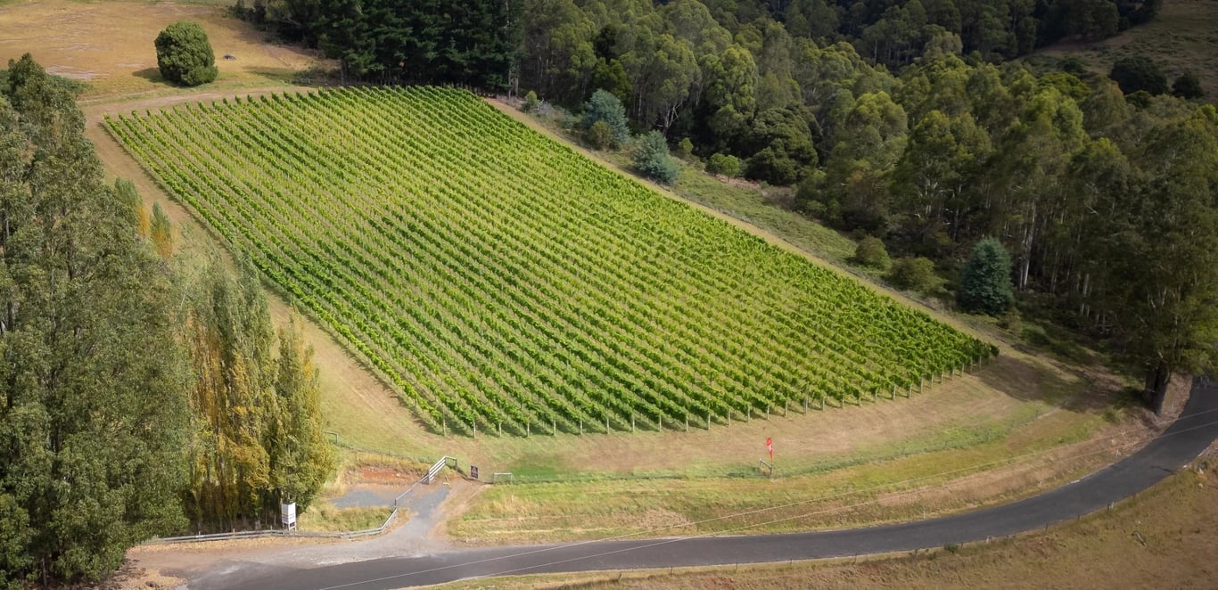 Leven Valley Vineyard in Gunns Plains, TAS