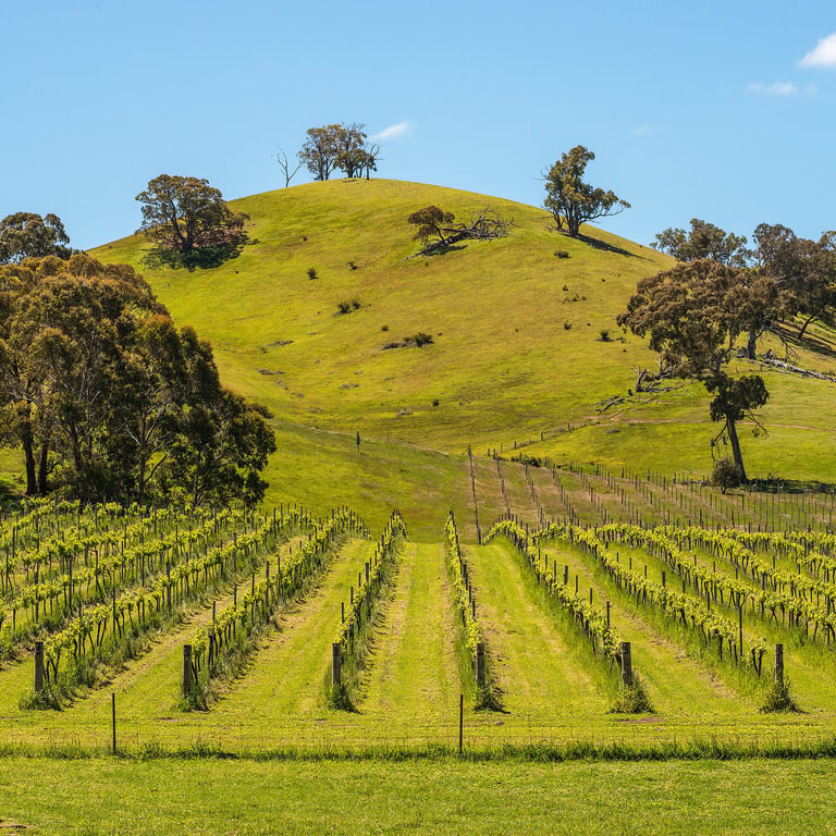 Mountainside Wines in Pyrenees, VIC