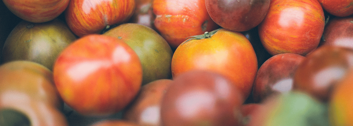 Myrtleford Farmers Market in Myrtleford, VIC